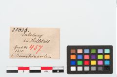 Etiketten zu Perlenkette (NHMW-PRAE-025036)